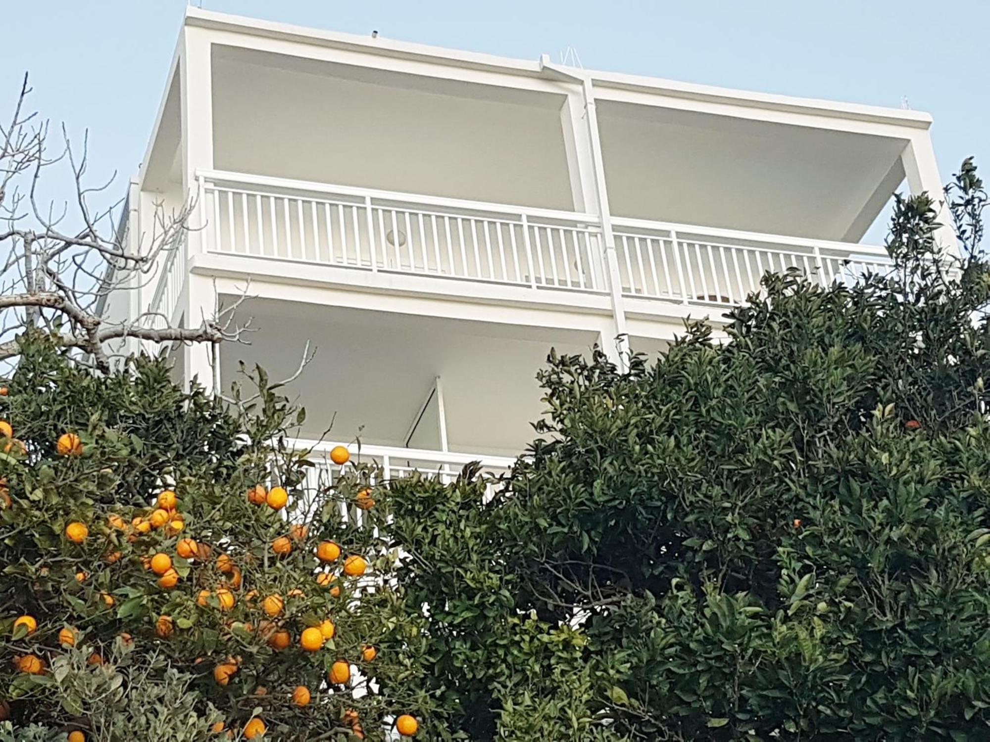 Apartmani Anda Živogošće Dış mekan fotoğraf